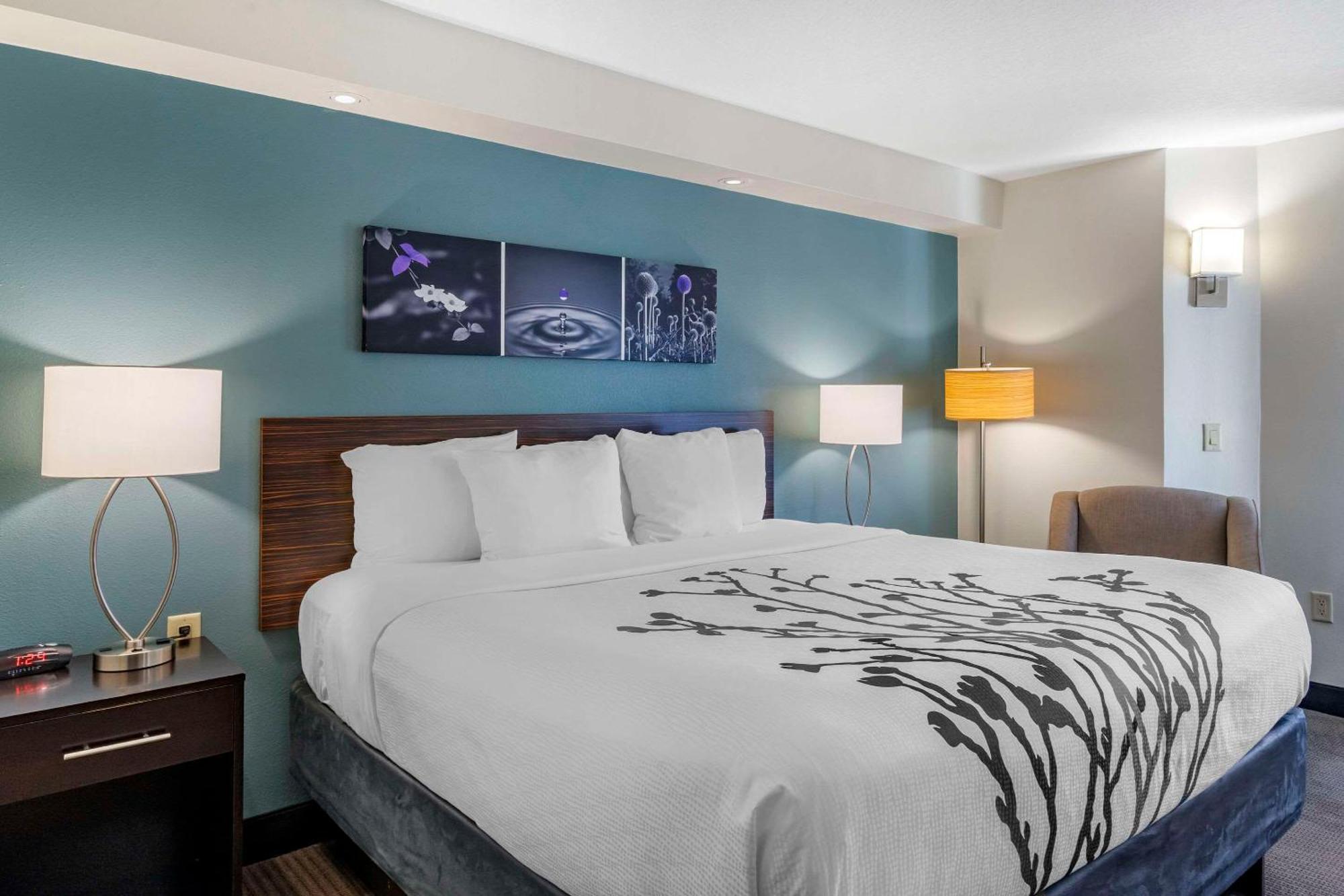Sleep Inn Clearwater-St Petersburg Eksteriør bilde