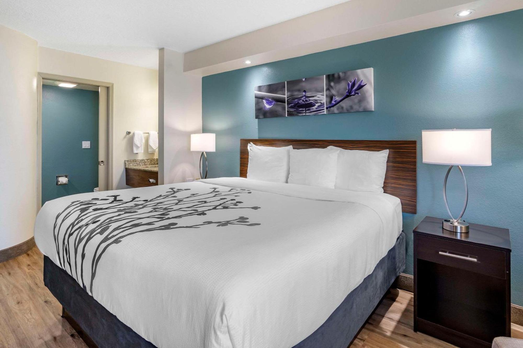 Sleep Inn Clearwater-St Petersburg Eksteriør bilde